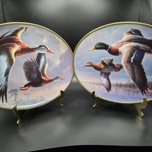 Duck Decorative Plates Mallards & Black Bellied Whistling Ducks Like New